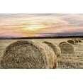 thumbnail image 2 of Kimberly, Allen 14x11 White Modern Wood Framed Museum Art Print Titled - Farmers Harvest, 2 of 4
