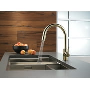 Delta 9159-Dst Trinsic Pull-Down Kitchen Faucet - Nickel