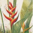 thumbnail image 2 of Pinto, Patricia 26x26 Black Ornate Wood Framed with Double Matting Museum Art Print Titled - Heliconias With Leaves I, 2 of 4