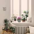 thumbnail image 2 of Decorative Rope Woven Flowerpot Desktop Flower Container for Home Office, 2 of 8