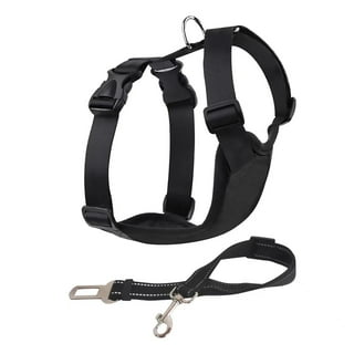 PetSafe Happy Ride Safety Harness for Dogs, Comfortable and Durable ...