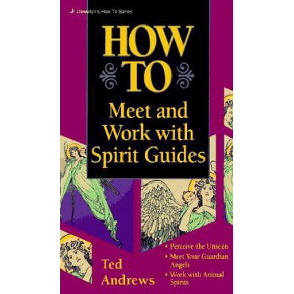 Pre-Owned How to Meet & Work With Spirit Guides (Llewellyn's Practical Guide to Personal Power) (Unknown) 0875420087 9780875420080