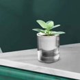 thumbnail image 1 of Maceta de riego automático, florero hidropónico de fácil mantenimiento, ornamento versátil, maceta, contenedores de plantas para cocina, hogar y sala Estilo A, 1 of 8