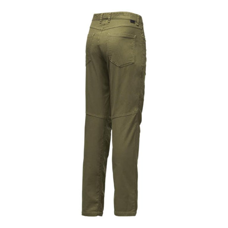 north face men's motion pant