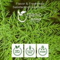 thumbnail image 5 of Organic Way Shatavari Powder (Asparagus racemosus) - Organic & Kosher Certified | Raw, Vegan, Non GMO & Gluten Free | USDA Certified | Origin - India (1LBS / 16Oz), 5 of 8