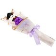 thumbnail image 2 of Foams Plastic Cloth Graduation Bear Bouquet 1Set 15x5.5x3.1In, 2 of 7