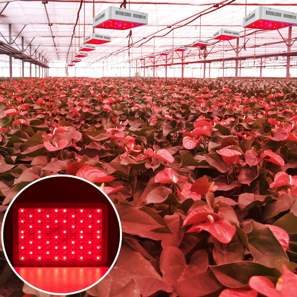 Details about   2X1000W Led Grow Light Plant Growing Lamp Full Spectrum For Indoor Plants Panel 
