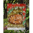 thumbnail image 3 of Carolines Treasures ASA2045GF Fox Sleeping In The Snow Flag Garden Size, 3 of 3