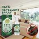 thumbnail image 3 of peppermint rodent shield mice repellent spray natural, 3 of 5