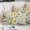 Gold,Sage,White, variant on Summer Daisy Queen Size Pillow Cover, Pillowcase Protectors with Zipper, Breathable Decorative Throw Pillow Case Cover, Bumblebee Floral Cottagecore Bee Pillow Shams for Couch Sofa 20x30Inch