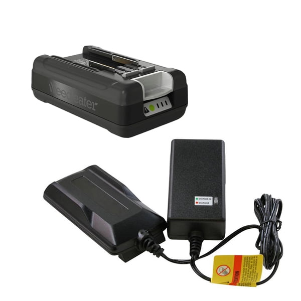 Weed Eater Genuine OEM 20 Volt Battery and Charger for Trimmer