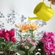 thumbnail image 1 of Regadera Metálica para Plantas de Interior y Exterior, Maceta Decorativa Floral de Hierro Estilo Vintage, 1,5 L, 1 of 6