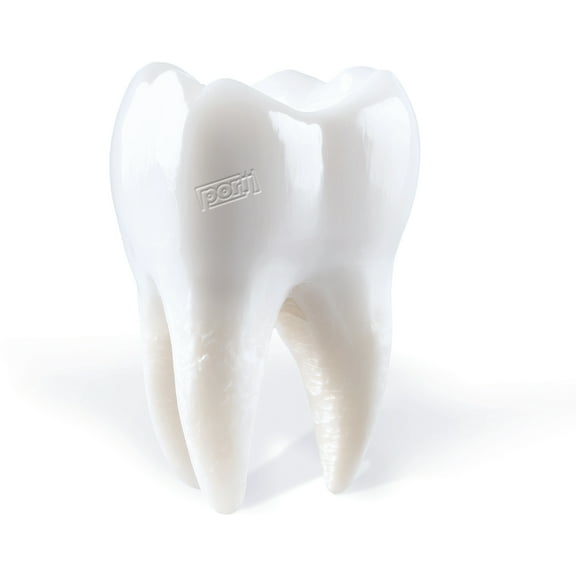 Porij - Teething - Music & Performance - CD