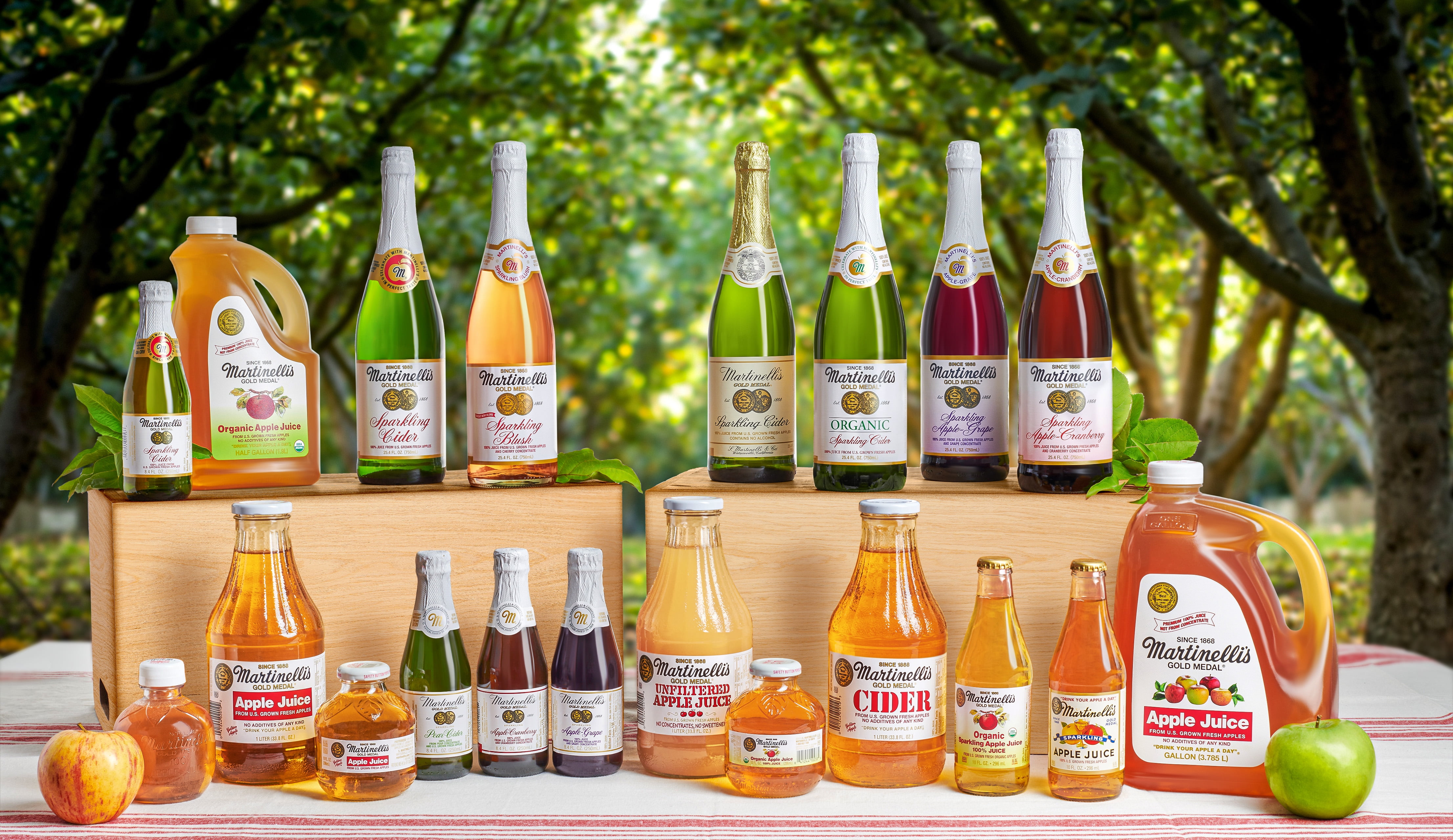 Sparkling Apple Martinelli's Apple Juice Gallon Martinellis