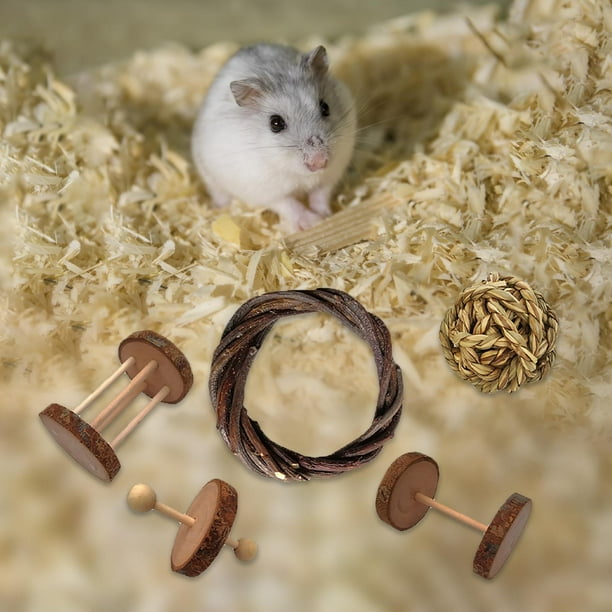 Juego de Juguete de Conejillo de , Conejo de Madera , , Chinchilla, Juguete para Masticar, Accesorios para Hámster, para Masticar Salvador Dali Juguetes de madera para hámster