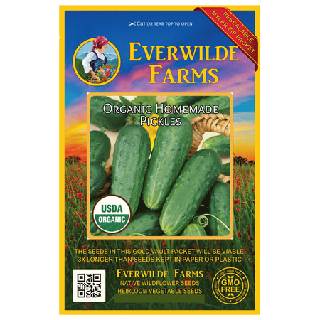 Everwilde Farms - 50 Organic Homemade Pickles Cucumber Seeds - Gold Vault Jumbo Bulk Seed (Best Pickling Cucumber Seeds)