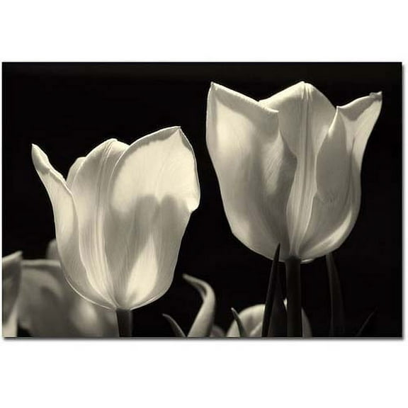 Trademark Fine Art "Pink Lily" Canvas Art by Martha Guerra