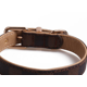thumbnail image 2 of Juego de collar de 1 pieza (celosía marrón), pañuelo ajustable para caminar al aire libre para gatos y cachorros JM, 2 of 3