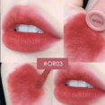 thumbnail image 2 of Chestnut Color Transparent Lip Glaze Matte Velvet Orange Brown Lipstick Waterproof Long Lasting Moisturizing Not Easy To Fade, 2 of 5