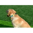 thumbnail image 6 of Pattern Dog Collar for Small Medium Large Dogs, Adjustable Design for Male Female Puppy Pet, 6 of 7