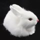 thumbnail image 4 of Decoración Realista Muñeca del Conejo Animal Figurita Hogar Oficina Niños # 2 Sunnimix Muñeca de conejo, 4 of 8