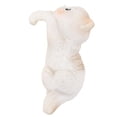 thumbnail image 3 of Garden Cat Statue colgante de jarrón Hugger Decoración Flower Pot Hugger Figurina Patter Hanger para acuarios Terrarios estanque Estilo B, 3 of 8