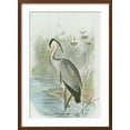 thumbnail image 2 of Art.com Common Heron Art Print, Brown Frame Wall Art, 21" x 29", 2 of 5
