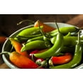 thumbnail image 3 of 200 Seeds Hot SERRANO TAMPIQUENO PEPPER Mexican Chile Capsicum Annuum Vegetable Seeds, 3 of 9