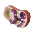 thumbnail image 2 of Platón para Patatas Fritas Con forma de Chanclas, Platón decorativo de ceramica para servir salsa de soja, apto para decoració del hogar, cafetería y estudio, 2 of 8
