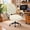 Cream, variant on General Stretchable Desk Office Chair Seat Cushion Covers - Universal Spandex Computer Chair Slipcover - Removable Washable Cushion Protectors for Dogs, Cats, Pets (Mocha)
