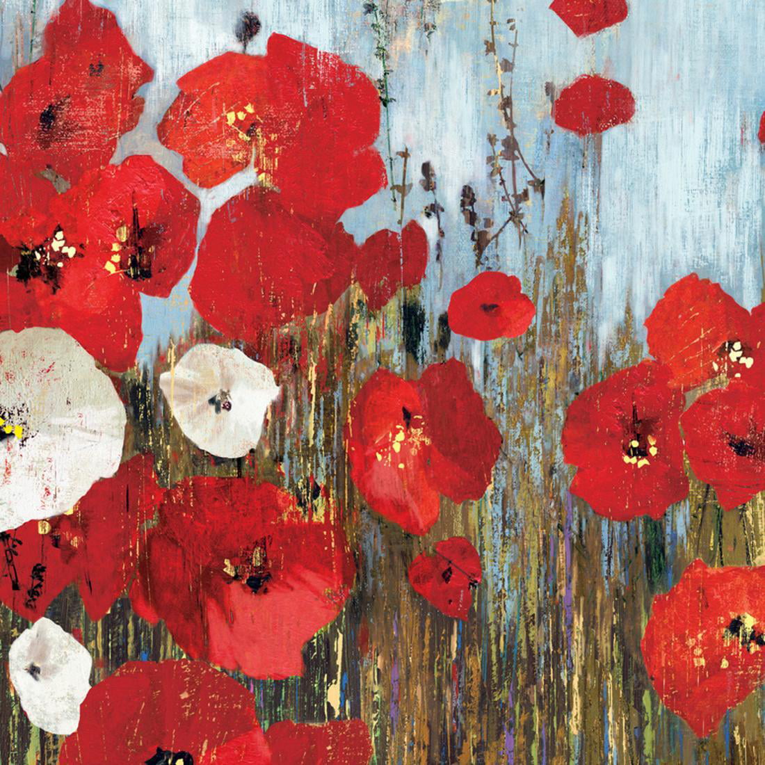 Passion Poppies I Red Poppy Flowers Abstract Botanical