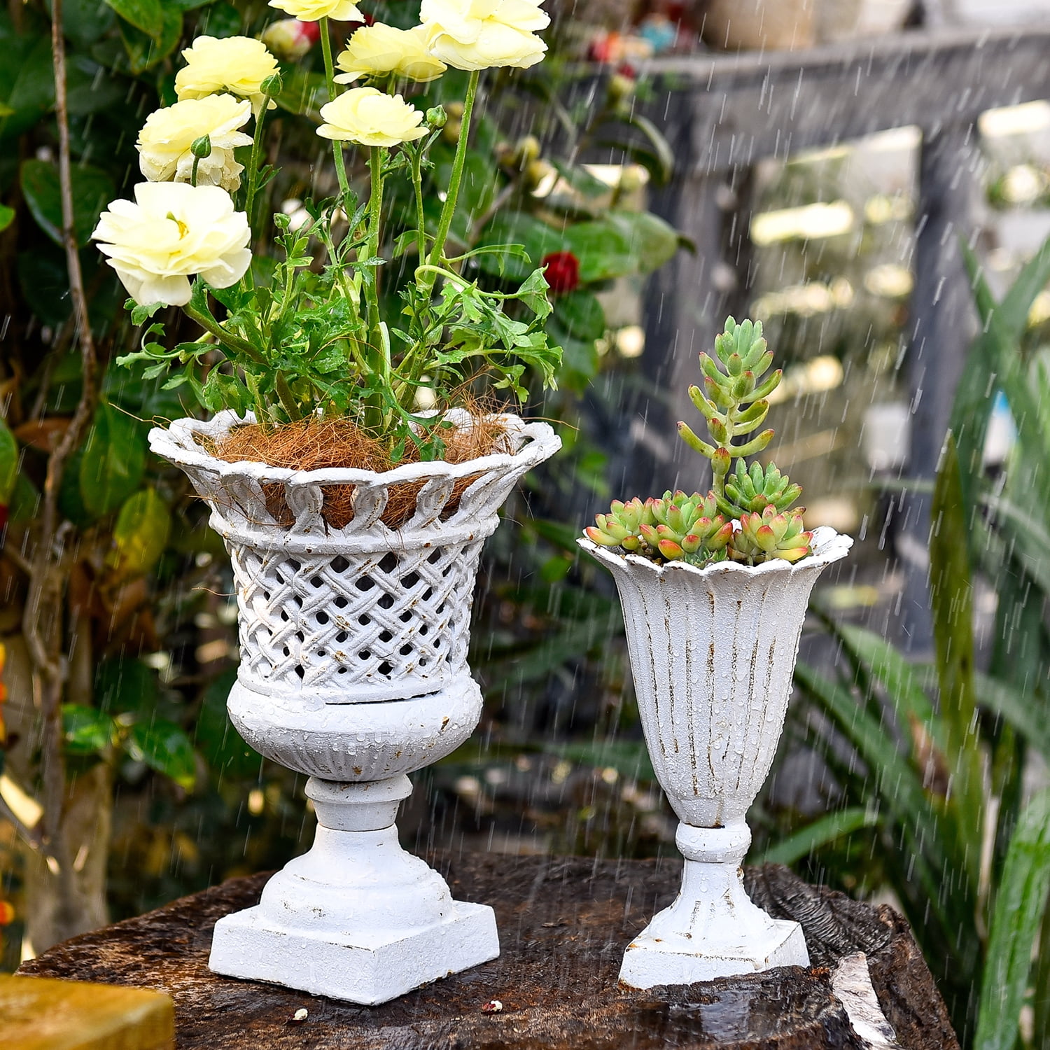 Sungmor Cast Iron Urn Planter, Hollow Trophy Design Tall Orchid Flower Pot, White, 1-Piece