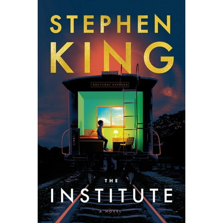 The Institute : A Novel (Hardcover) (Best Interest Of The Child Law)