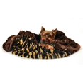 thumbnail image 1 of Camo Grande Couverture de Bébé, 1 of 1