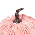 thumbnail image 6 of 6.25" Pink Velour Pumpkin Fall Harvest Decoration, 6 of 7