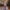 Pink, variant on Sentmoon Slit Evening Gowns for Women Formal Dresses for Women Sexy Swing Tassel Solid Color Short Dresses,OverSized Fashion A-line Dresses Blue M Up to 40% Off