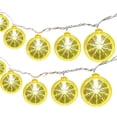 thumbnail image 4 of Lksixu Lemon String Lights, 59 inch Yellow Lime Slice LED Decorative Lights, Battery Operated Warm-Glow Lemon Decorations Waterproof Fruit Design Fairy Lights for Wedding Home Party Indoor Outdoor, 4 of 9