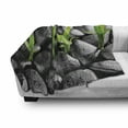 thumbnail image 3 of Plant Soft Flannel Fleece Blanket, Basalt Stones with Bamboo Leaves Sticking Water Droplets Harmony of Nature, Cozy Plush for Indoor and Outdoor Use, 50" x 70", Dark Taupe Lime Green, by Ambesonne, 3 of 6