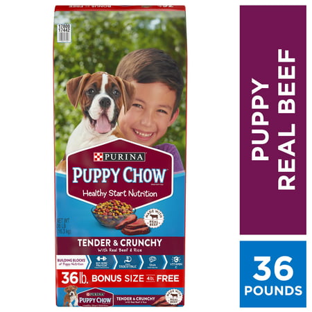 Purina Puppy Chow High Protein Dry Puppy Food, Tender & Crunchy with Real Beef - 36 lb. (Best Food For Yorkshire Terrier Puppy)