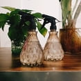 thumbnail image 1 of Botella Pulverizadora YONGSHENG Atomizador de Plantas de Niebla Fina 500 ml, 1 of 5