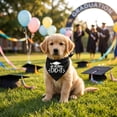 thumbnail image 6 of Graduation Dog Bandana, Funny "My Mommy Did It" & "It Was Ruff, But We Did It" Pet Bib Scarf for Class of 2026 Ceremony, Adjustable Triangle Neck Tie for Photo Props A, 6 of 7