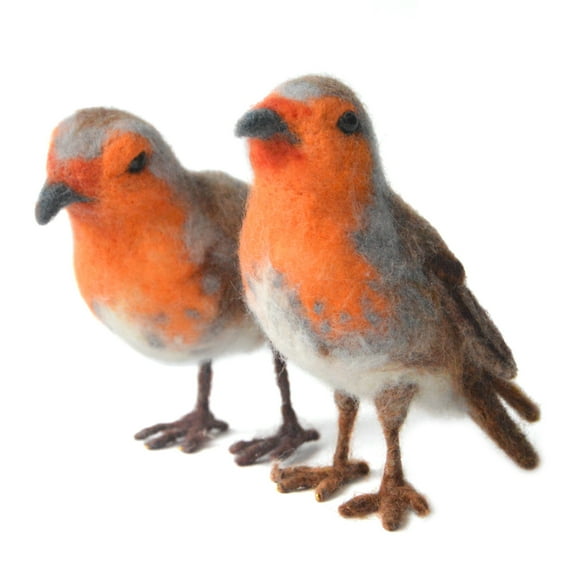 2 Robin Needle Felting Kits for Beginners DIY Craft Kit Gift for Mom Including Everything to Make