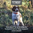 thumbnail image 2 of Nutramax Dasuquin for Small to Medium Dogs, Joint Health Supplement, Contains Glucosamine for Dogs, Plus Chondroitin, ASU, MSM and More, Supports Healthy Joints, Soft Chews, 84 Count, 2 of 11