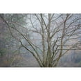 thumbnail image 3 of Mahan, Kathy 14x11 Black Modern Framed Museum Art Print Titled - Foggy Winter I, 3 of 5