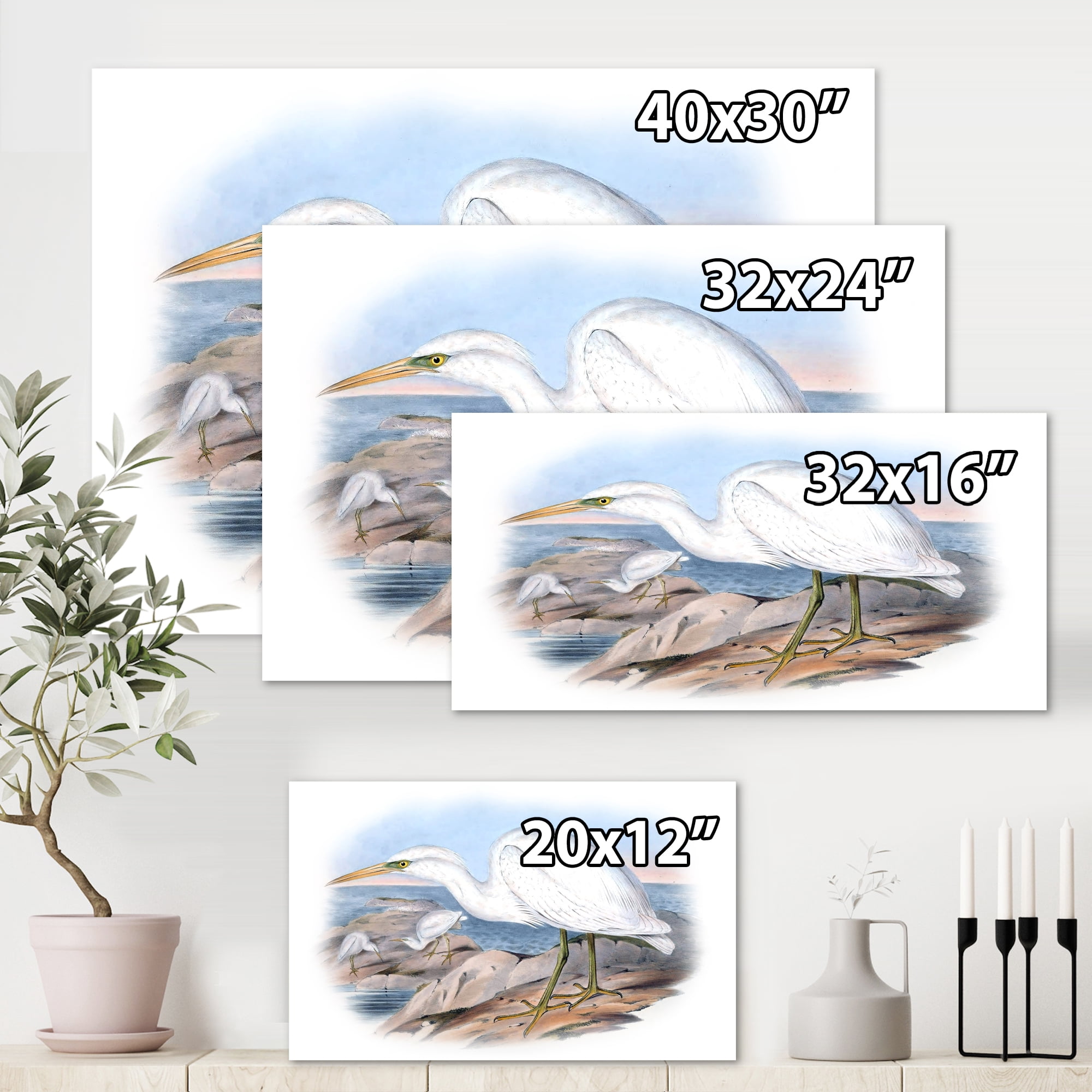 Designart ' Ancient Australian Birds XIII ' Traditional Canvas Wall Art Print