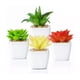 thumbnail image 1 of Set 4 de Suculentas Planta Artificial Decorativa, 1 of 3