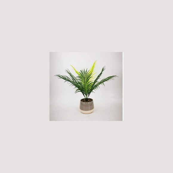 Lerman Decor's tropical potted plant