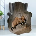thumbnail image 4 of Africa Soft Flannel Fleece Throw Blanket, Fight Between 2 Gemsbok on Plains of Etosha Namibia Savage Safari Theme Design, Cozy Plush for Indoor and Outdoor Use, 50" x 60", Brown Tan, by Ambesonne, 4 of 5