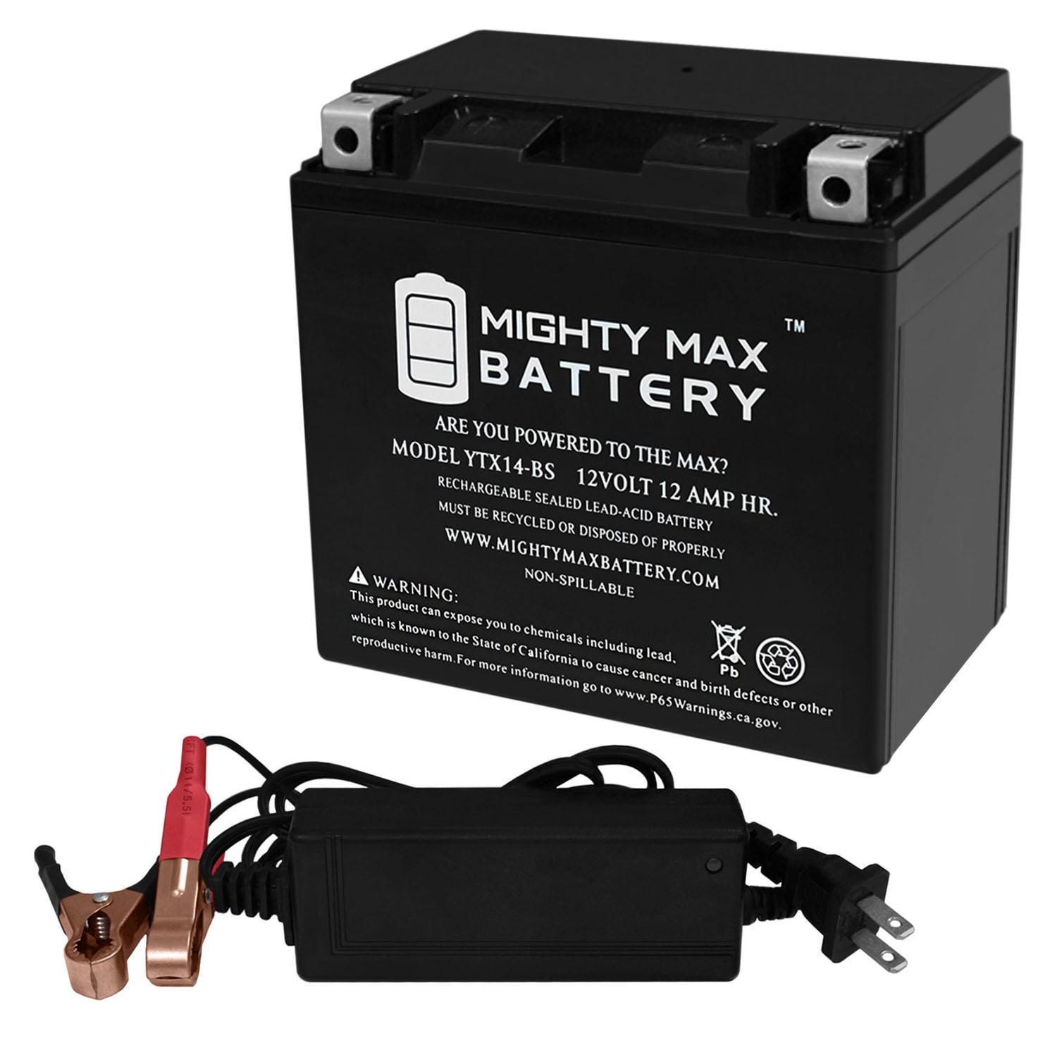 Toy Car Battery and Charger Combo 12V 12ah Battery & 12 Volt Mains Charger 