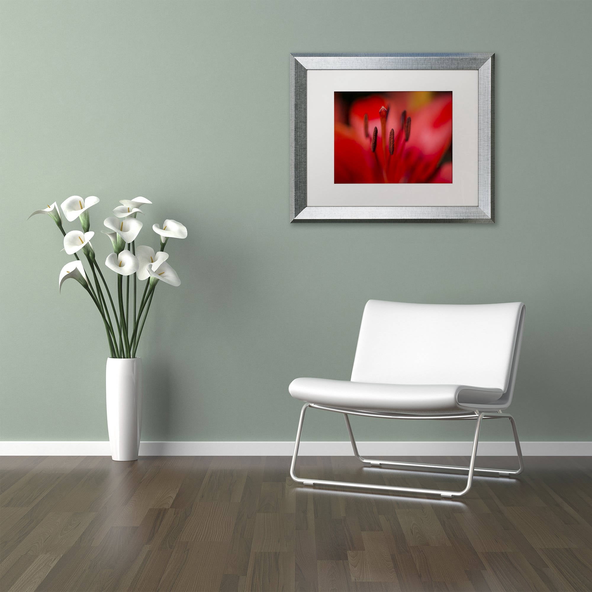 Trademark Fine Art "Red Lily Pistils" Canvas Art by Kurt Shaffer, White Matte, Silver Frame